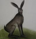 Hare, Linocut