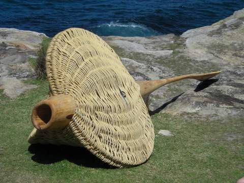 Sculpture by the Sea 2008 