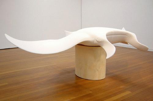 Manta Ray, 2002