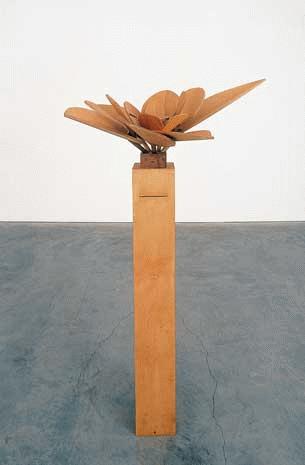 Wish Flower 2004