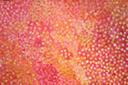 Evelyn Pultara - Yam Dreaming