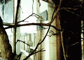 Charis McKittrick, `Untitled`.