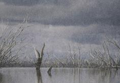 Natural Impressions 3