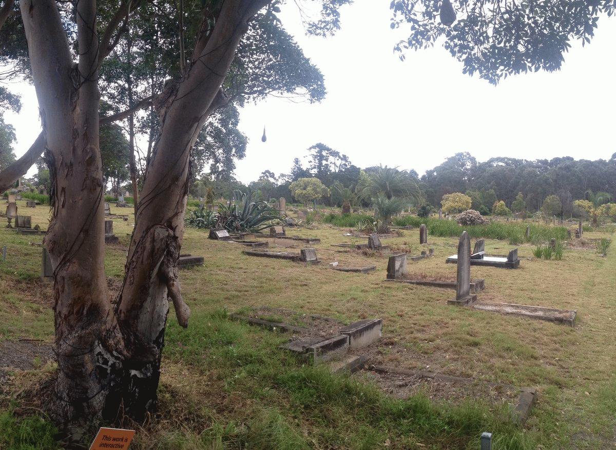 Rookwood Cemetary
