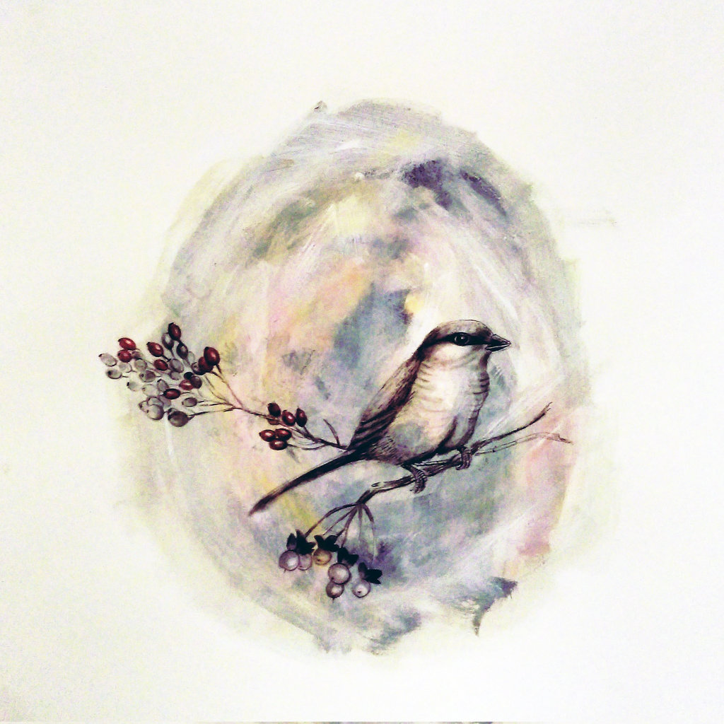 Anne Warren, Bird with red ber